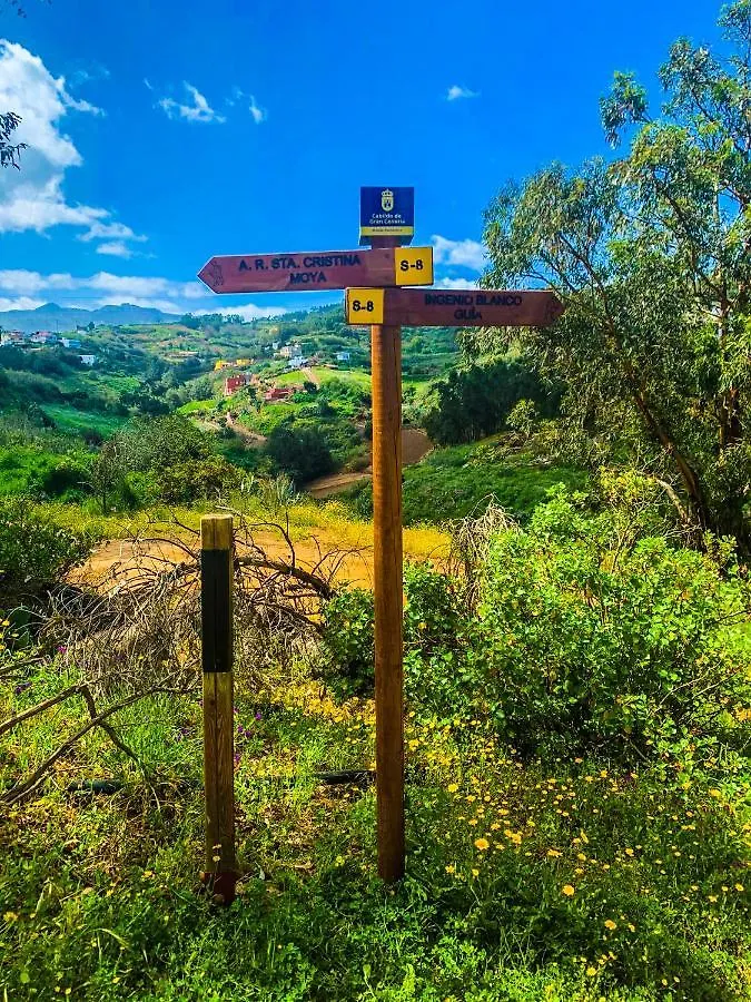 Top Rural Caricia De Brisa - Rural Experience Fully Equipped & Big Jacuzzi & Bbq - Enjoy Gran Canaria From The North El Palmital 0*,  スペイン
