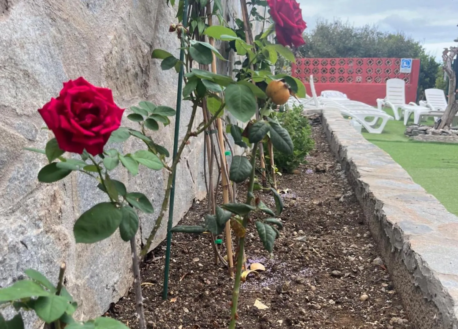 Top Rural Caricia De Brisa - Rural Experience Fully Equipped & Big Jacuzzi & Bbq - Enjoy Gran Canaria From The North El Palmital ヴィラ